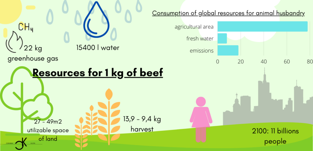 Meat consumption clean meat environmental protection nature conservation nature vegetarian veganism meat consumption meat production meat slaughter beef pork poultry fish slaughter weight world population consumption usable area agriculture grain greenhouse gases water resources animal husbandry bioreactor hamburger biopsy cell culture