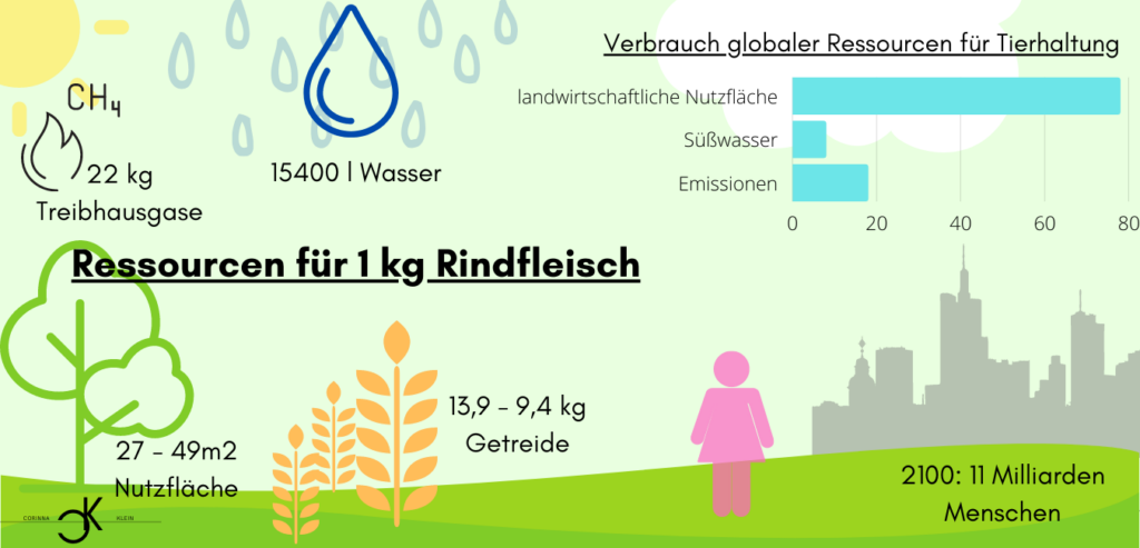 Fleischkonsum clean meat Umweltschutz Naturschutz Natur Vegetarier Veganismus Fleischverbrauch Fleischproduktion Fleisch Schlachtung Rind Schwein Geflügel Fisch Schlachtgewicht WeltbevölkerungVerbrauch Nutzfläche Landwirtschaft Getreide Treibhausgase Wasser Ressourcen Tierhaltung