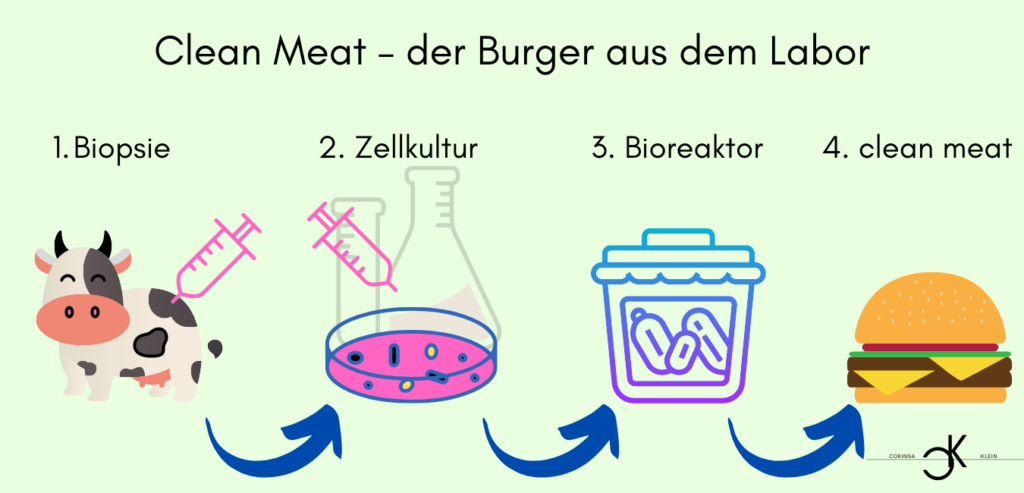 Fleischkonsum clean meat Umweltschutz Naturschutz Natur Vegetarier Veganismus Fleischverbrauch Fleischproduktion Fleisch Schlachtung Rind Schwein Geflügel Fisch Schlachtgewicht WeltbevölkerungVerbrauch Nutzfläche Landwirtschaft Getreide Treibhausgase Wasser Ressourcen Tierhaltung Bioreaktor Hamburger Biopsie Zellkutur