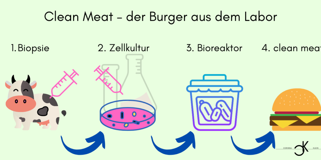 Fleischkonsum clean meat Umweltschutz Naturschutz Natur Vegetarier Veganismus Fleischverbrauch Fleischproduktion Fleisch Schlachtung Rind Schwein Geflügel Fisch Schlachtgewicht WeltbevölkerungVerbrauch Nutzfläche Landwirtschaft Getreide Treibhausgase Wasser Ressourcen Tierhaltung Bioreaktor Hamburger Biopsie Zellkutur