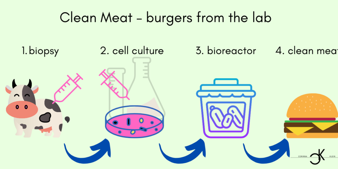 Meat consumption clean meat environmental protection nature conservation nature vegetarian veganism meat consumption meat production meat slaughter beef pork poultry fish slaughter weight world population consumption usable area agriculture grain greenhouse gases water resources animal husbandry bioreactor hamburger biopsy cell culture