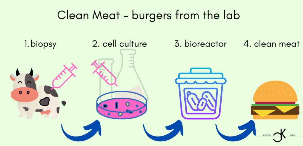 Meat consumption clean meat environmental protection nature conservation nature vegetarian veganism meat consumption meat production meat slaughter beef pork poultry fish slaughter weight world population consumption usable area agriculture grain greenhouse gases water resources animal husbandry bioreactor hamburger biopsy cell culture